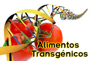 alimentos_transgenicos
