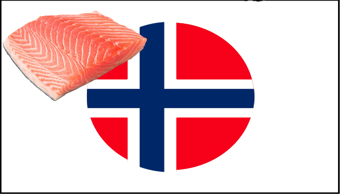 Estado noruego recomienda privatizar su mega salmonera Cermaq y venderla a transnacional japonesa Mitsubishi