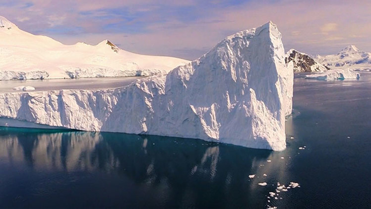 Pesca industrial disputa el alimento de Ballenas y Pingüinos en la Antártica