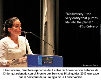 Premio Internacional para Directora de Centro de Conservación Cetacea por trabajo clave en defensa de las Ballenas