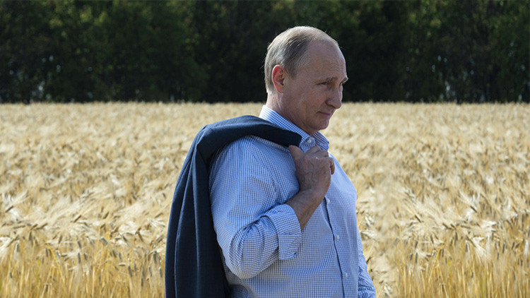 Putin: «Rusia podría convertirse en el mayor proveedor mundial de alimentos no transgénicos»
