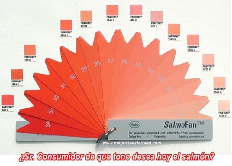 VIDEO: La BBC explica por qué el salmón de criadero es de color rosado