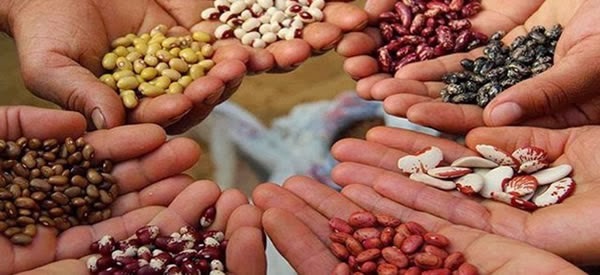 Un luminoso ejemplo de economía solidaria