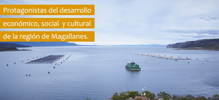 Masiva muerte de salmones ahora en Magallanes. De 200 peces muertos al día pasaron a 3 mil en Puerto Natales