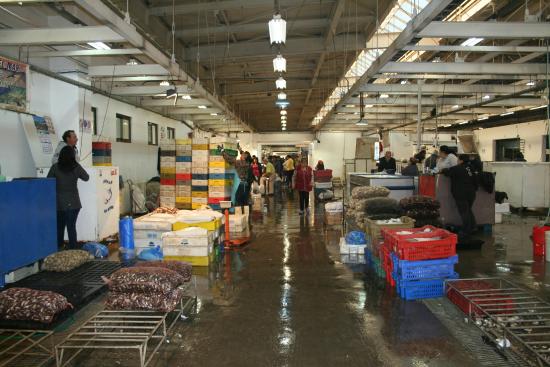 Comerciantes de Terminal Pesquero se suman a protesta para anular Ley Longueira