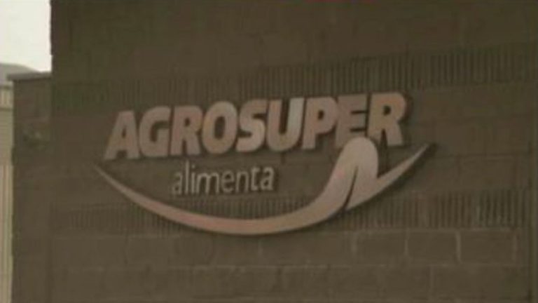 Alerta en Agrosuper por virus de influencia aviar en sus pavos que engordan en Quilpue: sacrificarán miles de aves