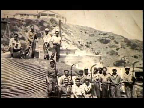 Las Ballenas de Quintay. Libro muestra historia de una de las últimas factorías que procesaron estos mamíferos en el Pacífico Sur chileno