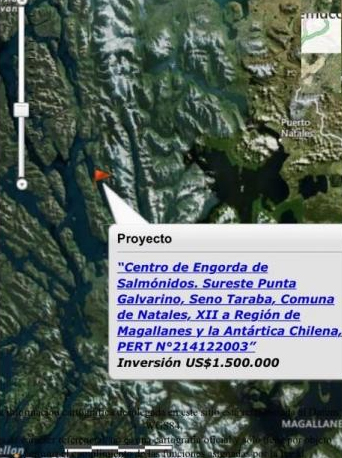 Niegan participación ciudadana para instalar jaulas salmoneras en Puerto Natales. SEIA dice que no generará impacto..