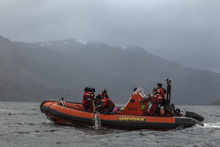 Dos centros salmoneros están siendo investigados por Barco de Greenpeace en la Patagonia