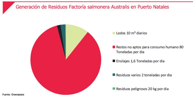 Estos son algunos de los impactos de la factoría salmonera Australis en Puerto Natales