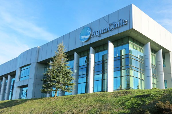El far-west salmonero en la Patagonia: Aqua Chile compra Salmones Magallanes