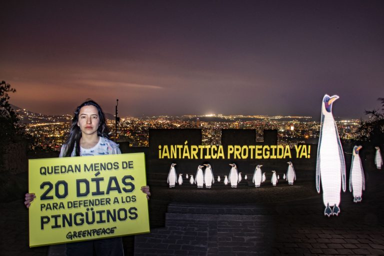 Pingüinos virtuales se toman el Parque Metropolitano para apoyar creación de Área Marina más grande del mundo