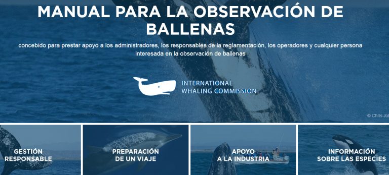 ¿Quieres observar ballenas? Aquí está el primer Manual que recomienda la CBI en todo el mundo