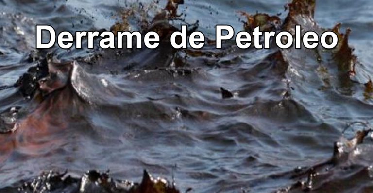 Armada confirma derrame de 40 mil litros de petróleo en la región de Magallanes