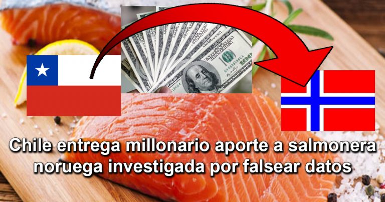 Salmonera noruega acusada de falsear datos, recibe millonario aporte del Estado de Chile