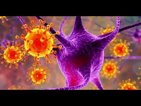 Epidemias mortales y Pueblos Originarios
