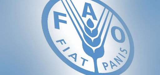 FAO otra vez realiza advertencia por mal y masivo uso de antibióticos