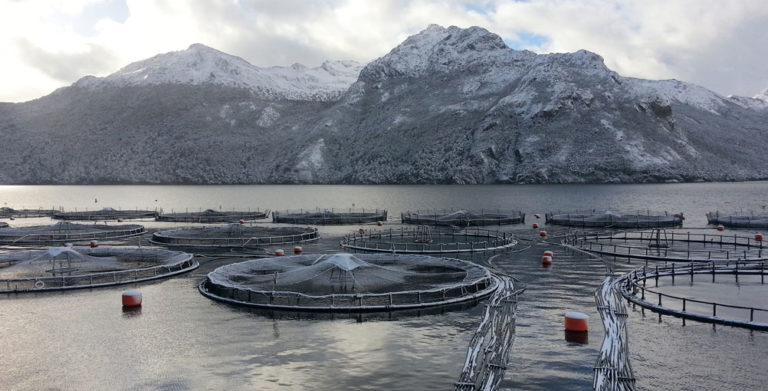 Entregan datos claves para que Región de Magallanes enfrente cambio climático, pesca ilegal y avance de salmoneras
