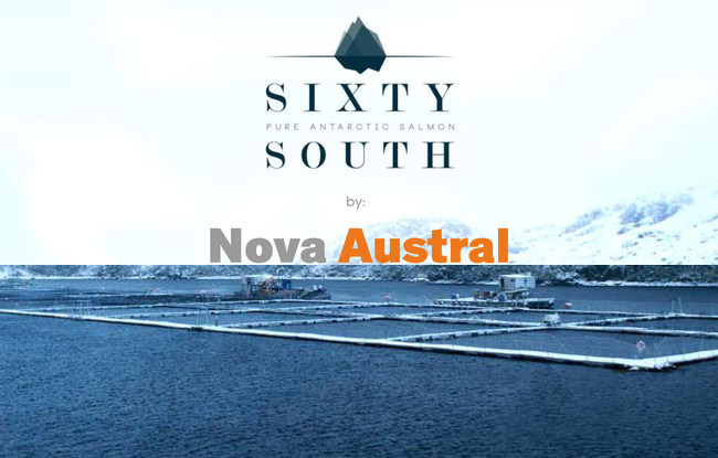 Chilean Salmon Leaks: Certifican ambientalmente a transnacional salmonera mientras tiene Virus ISA, malas prácticas sanitarias y viola la Ley Chilena