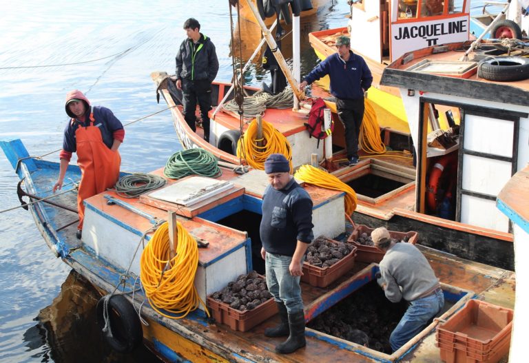 Pescadores indignados porque Bono Covid será solo para dueños de embarcaciones y no para el 90% de hombres y mujeres del mar