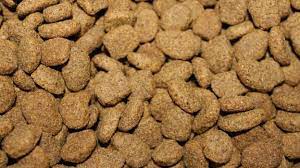 Alertan del descubrimiento de bacterias resistentes a antibióticos en marcas internacionales de comida para perros