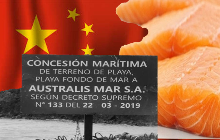 Solicitan a Superintendencia Ambiental detener irregularidades en construcción de factoría salmonera china en Puerto Natales 