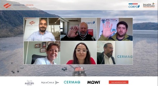 CORFO: Con dinero público subsidian expansión salmonera y destrucción ambiental en Patagonia chilena