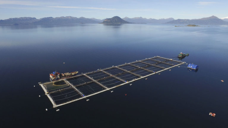 Comunidades valoran que C. Suprema exija a salmoneras participación indígena en relocalización de centros de cultivo