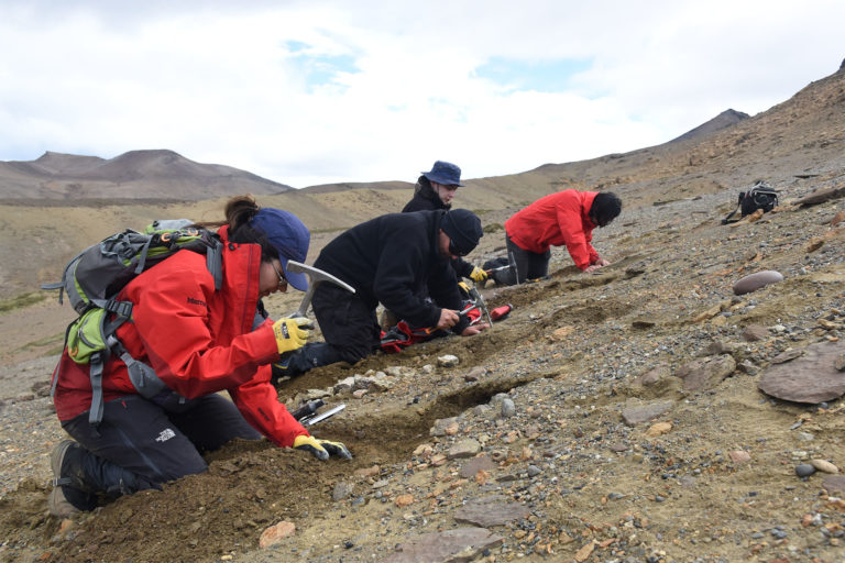Obtienen nuevos registros de dinosaurios en Cerro Guido, Patagonia