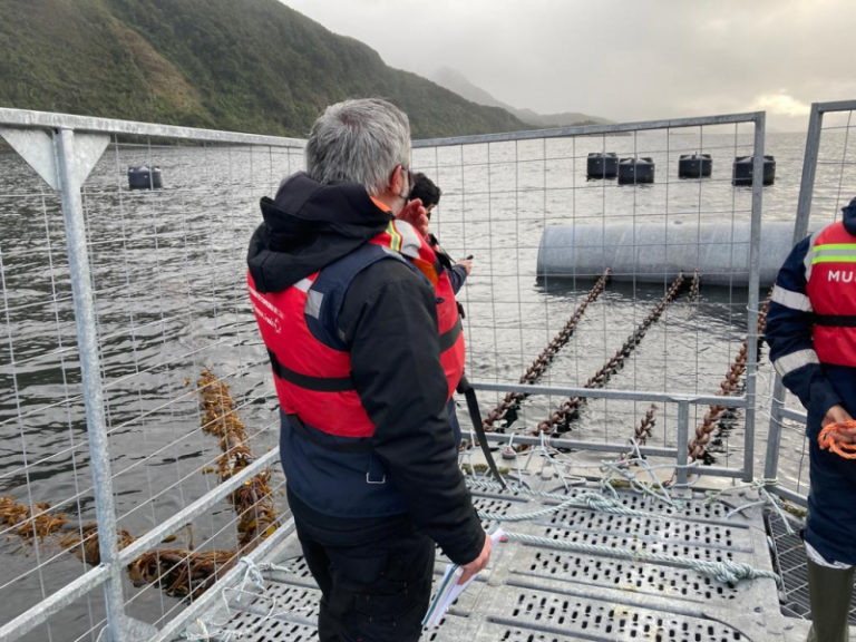 Otra Multinacional salmonera es investigada por sobreproducción al interior de Reserva Nacional en la Patagonia