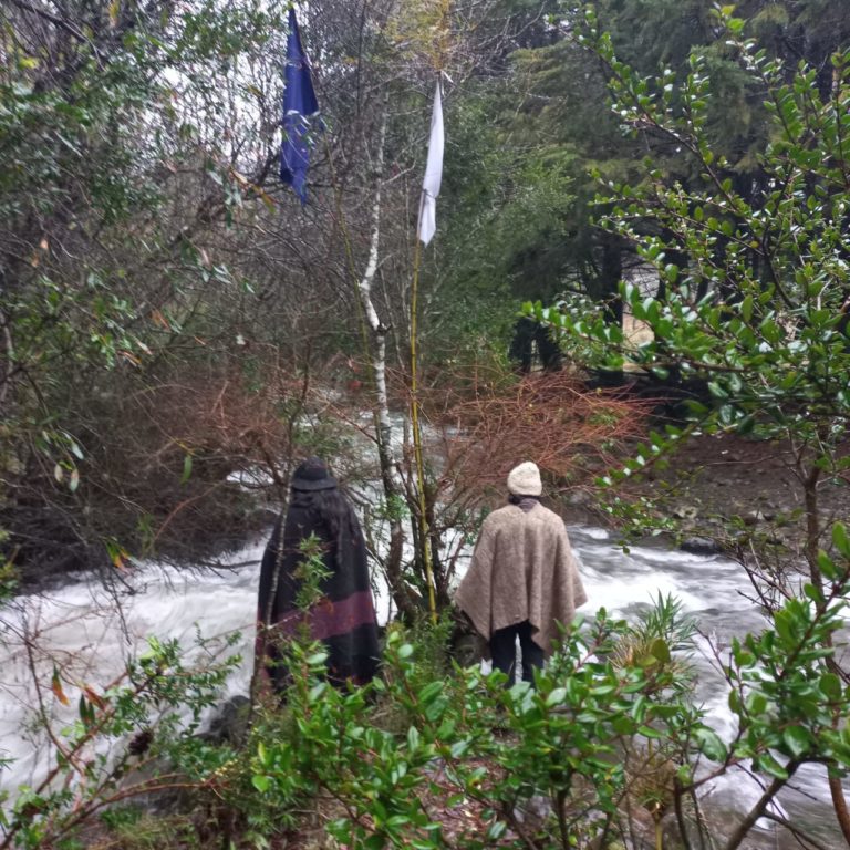 Piscicultura salmonera sancionada por contaminar un río en territorio Mapuche demanda a abogados ambientalistas
