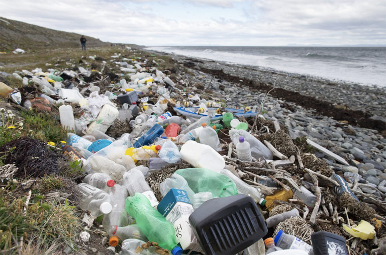 5 de junio Día Mundial del Medio Ambiente: por un planeta con menos plásticos