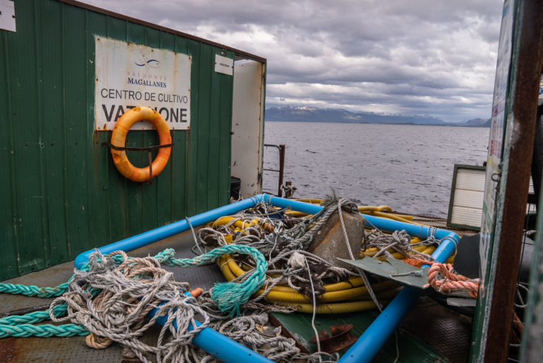 Vertederos de la industria salmonera en la Patagonia son denunciados por Greenpeace