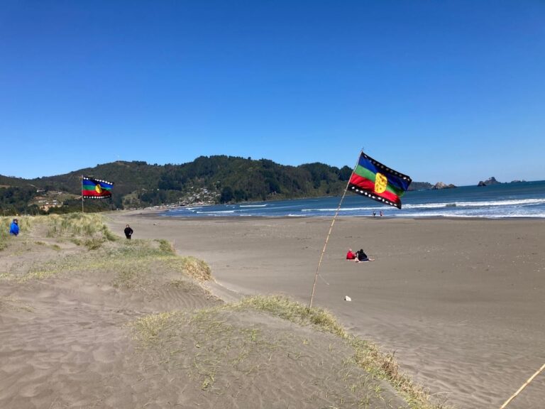 ¡Por fin… Fin al proyecto del ducto de Celco a la Mar de Mehuin