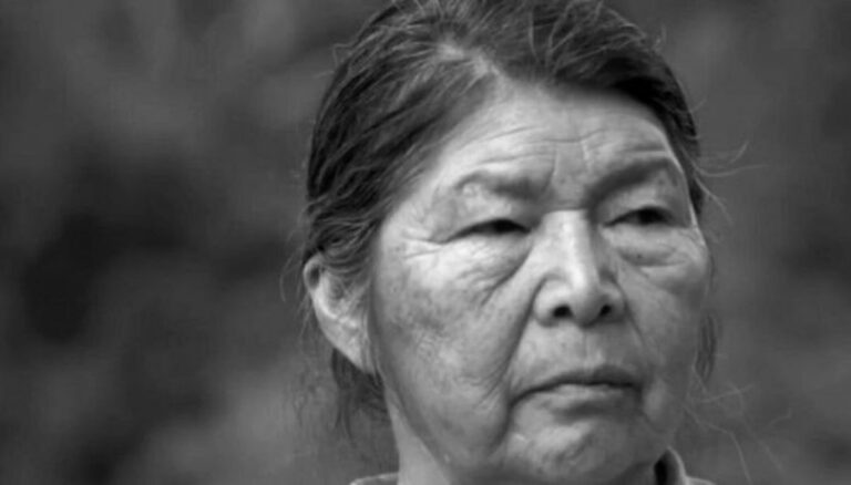 A cinco meses de la desaparición de Julia Chuñil llaman a exigir justicia este 8 de abril
