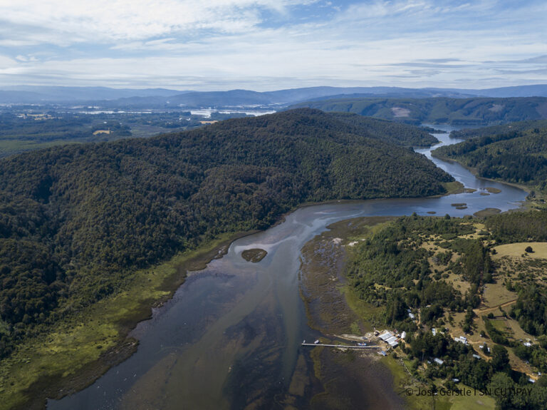 Chile es electo como parte del Comité Permanente de la Convención Ramsar sobre humedales