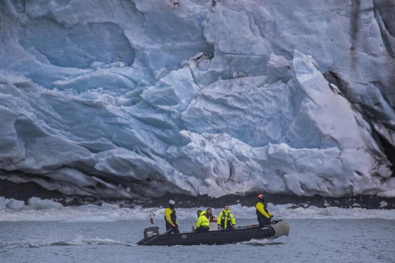 Descubren nuevos virus que podrían impactar en la cadena trófica antártica