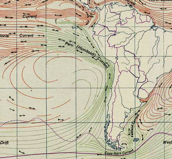 Libro aborda investigación sobre plancton presente en la Corriente de Humboldt