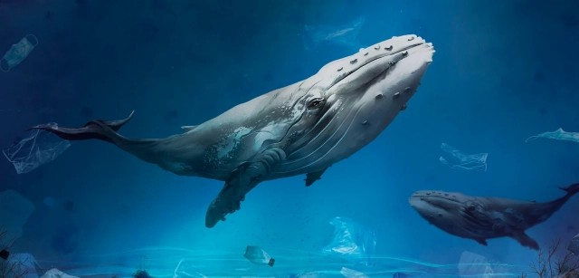 Día Mundial de los Océanos: Entre promesas vacías y la urgente necesidad de reformar el sistema internacional de la ONU