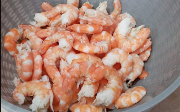 Mariscos importados están propagando genes de resistencia a los antibióticos en Estados Unidos