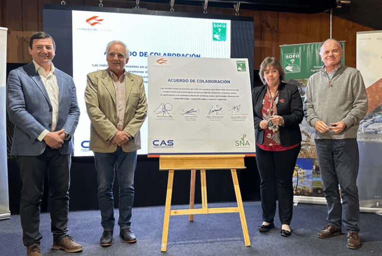 La alianza de la Agricultura de La Araucanía con la Salmonicultura: plantean que la industria del salmón podría crecer un 50% 