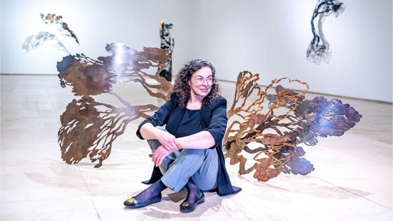 Todavía tienes tiempo para ver expo Subantártico de Paola Vezzani