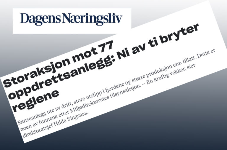 Salmoneras en Noruega: 9 de cada 10 incumplen las normas