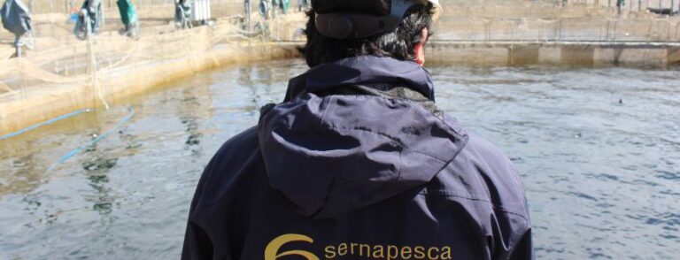 Otra vez industria salmonera arroja peces muertos al mar de La Patagonia