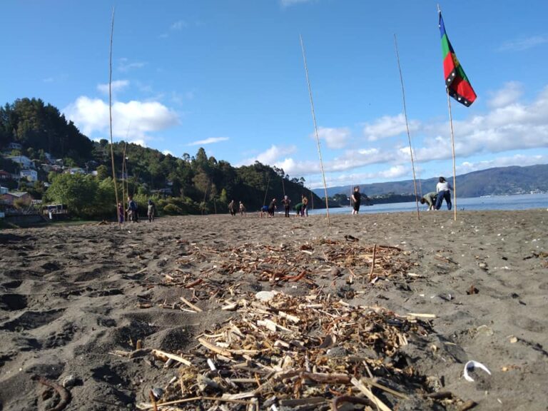 Asociación Wadalafken presenta reclamación por resolución que reduce a 3% ECMPO en costa de Valdivia