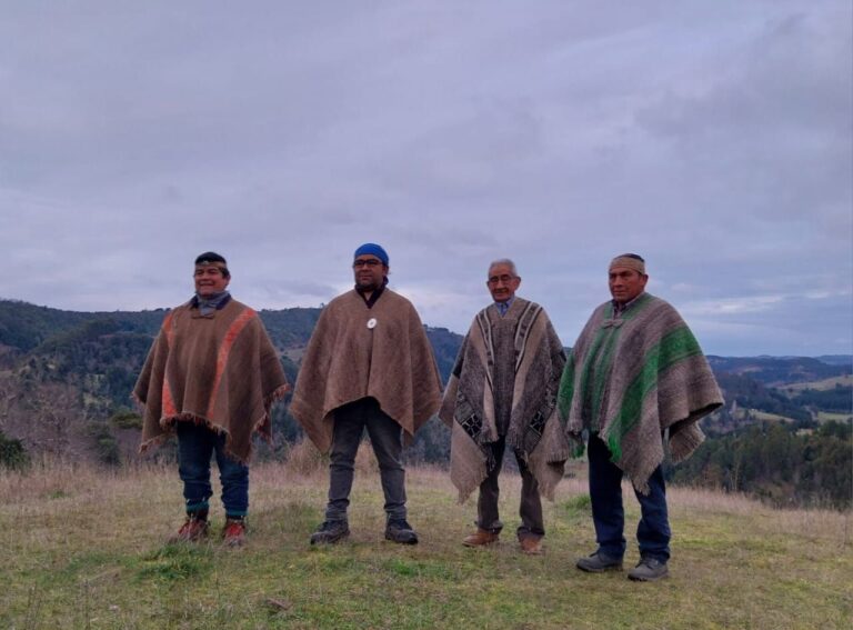 Historica organización Mapuche Williche rechaza Consulta y Comisión de Paz y Entendimiento de Boric