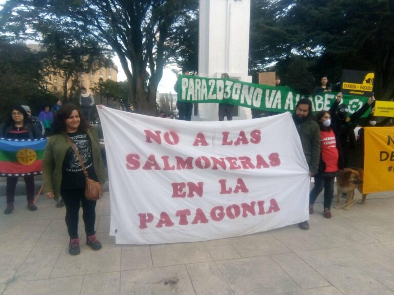 El poderoso lobby salmonero incrustado en el Estado que permite seguir contaminando y generando muertes en el mar