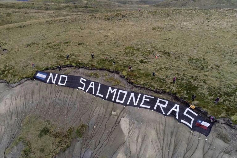 Rafael Cheuquelaf Bradasic: «La industria del salmón es incompatible con la salud del mar»