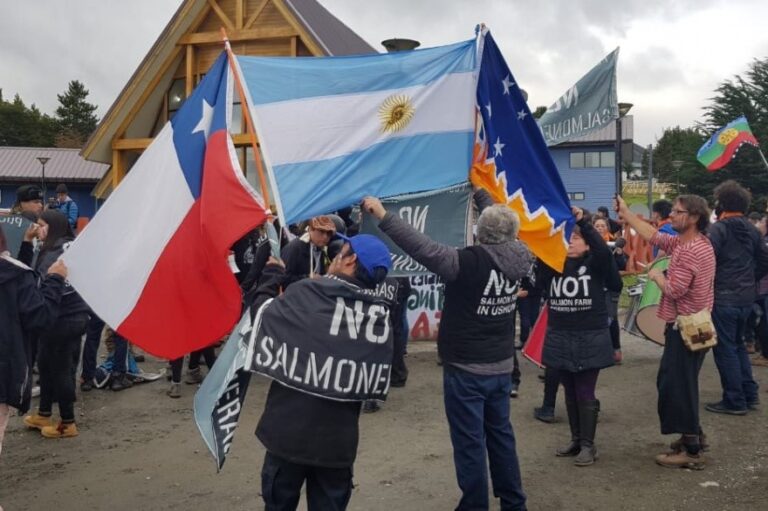 Corrupción político-empresarial: Derrame masivo de petróleo y sobreproducción ilegal destruyen áreas protegidas de la Patagonia chilena