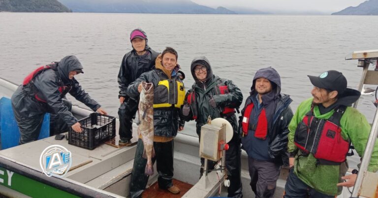 Primera comercializadora de los pescadores artesanales comenzará a funcionar en Aysén